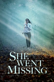 She Went Missing movie poster