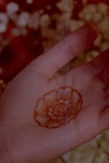 what does it feel like to live inside a pomegranate?