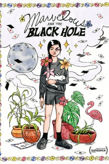 Marvelous and the Black Hole  (WEB-DL)