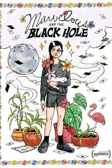 Marvelous and the Black Hole (WEB-DL)