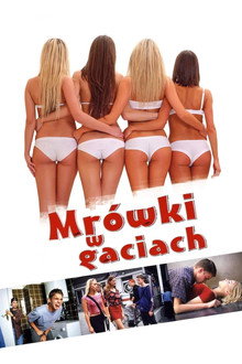 Mrówki w gaciach