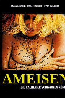 Ameisen - Die Rache der schwarzen Königin