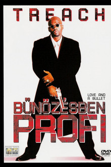 Bűnözésben profi