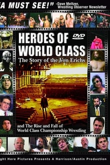 Poster do filme Heroes of World Class