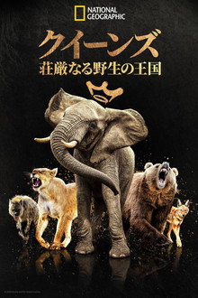 シーズン1