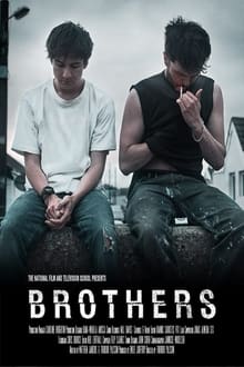 Poster do filme Brothers