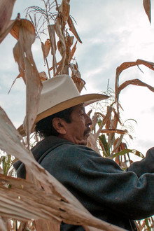 Semillas, el legado de la tierra