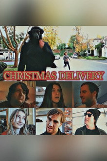 Christmas Delivery
