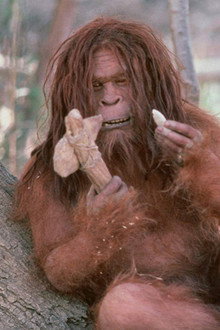 Missing Link