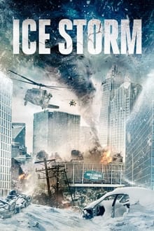 Poster do filme Ice Storm