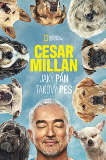 1. sezóna