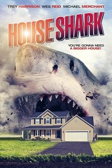 House Shark House Shark