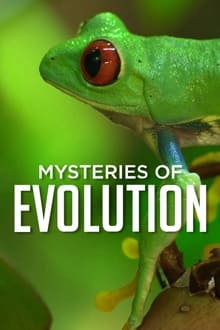 Mysteries Of Evolution 1ª Temporada Completa