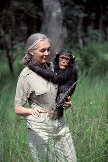 Jane Goodall: An Inside Look