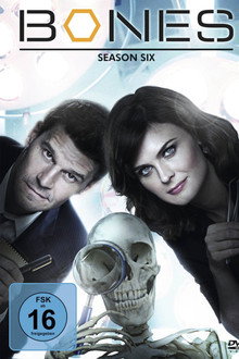 Staffel 6