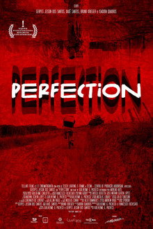 Perfection