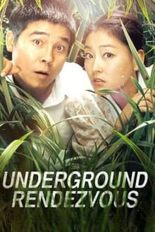 Poster do filme Underground Rendezvous