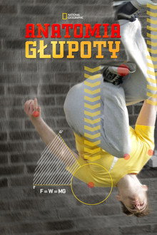 Anatomia głupoty