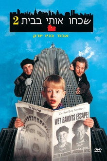 שכחו אותי בבית 2: אבוד בניו יורק