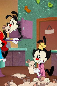 Animaniacs season 1 episode 11