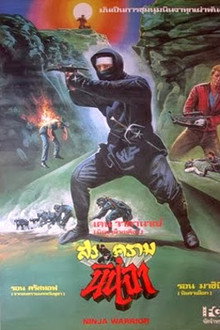 Ninja Warriors