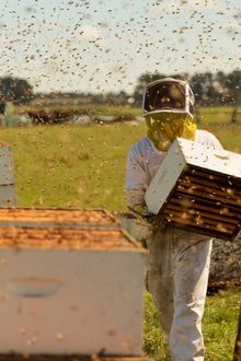 The-Pollinators
