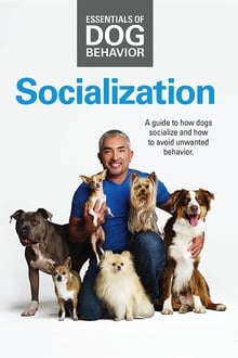 Poster do filme Essentials of Dog Behavior: Socialization