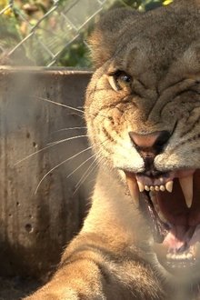 The-Elephant-in-the-Living-Room