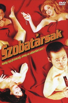Szobatársak - Addig nyújtózkodj, amíg az albérlőd tart!