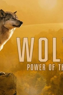Wolves-Power-of-the-Pack