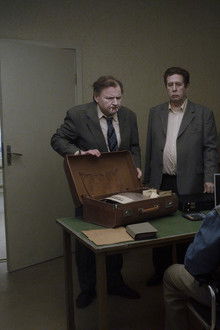 Um-Pombo-Pousou-num-Galho-Refletindo-sobre-a-Existência