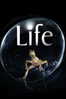 Poster da série Life