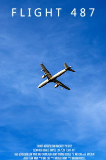 Flight 487