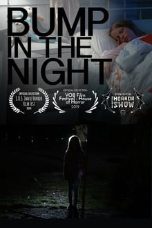 Poster do filme Bump in the Night