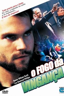 Poster do filme O Fogo da Vingança