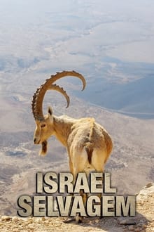 Poster da série Israel Selvagem