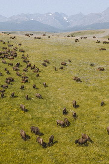 Inhabitants