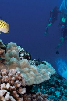 On a dormi sous la mer