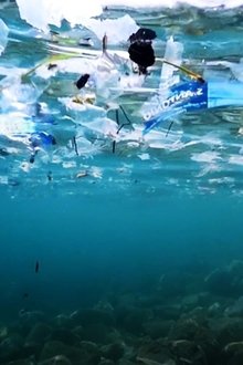 Oceans-The-Mystery-of-the-Missing-Plastic