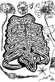 Ribs