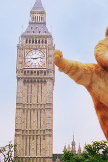 Garfield: A Tail of Two Kitties
