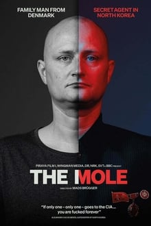 The Mole 2020