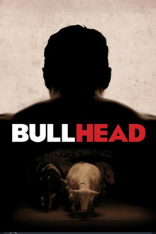 Bullhead