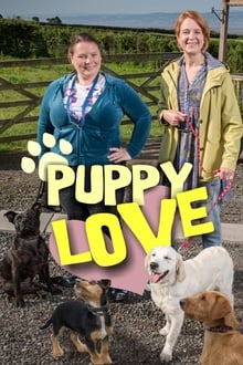 Poster da série Puppy Love