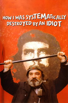 How I Was Systematically Destroyed by an Idiot