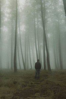 Напољу-цветају-наранџе