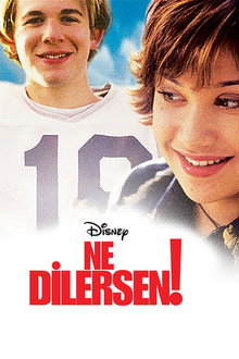 Ne Dilersen!