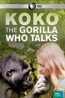 Poster do filme Koko: The Gorilla Who Talks to People