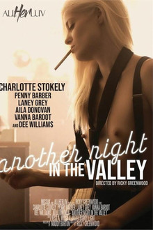 Another Night in the Valley