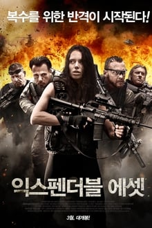 Poster do filme Expendable Assets